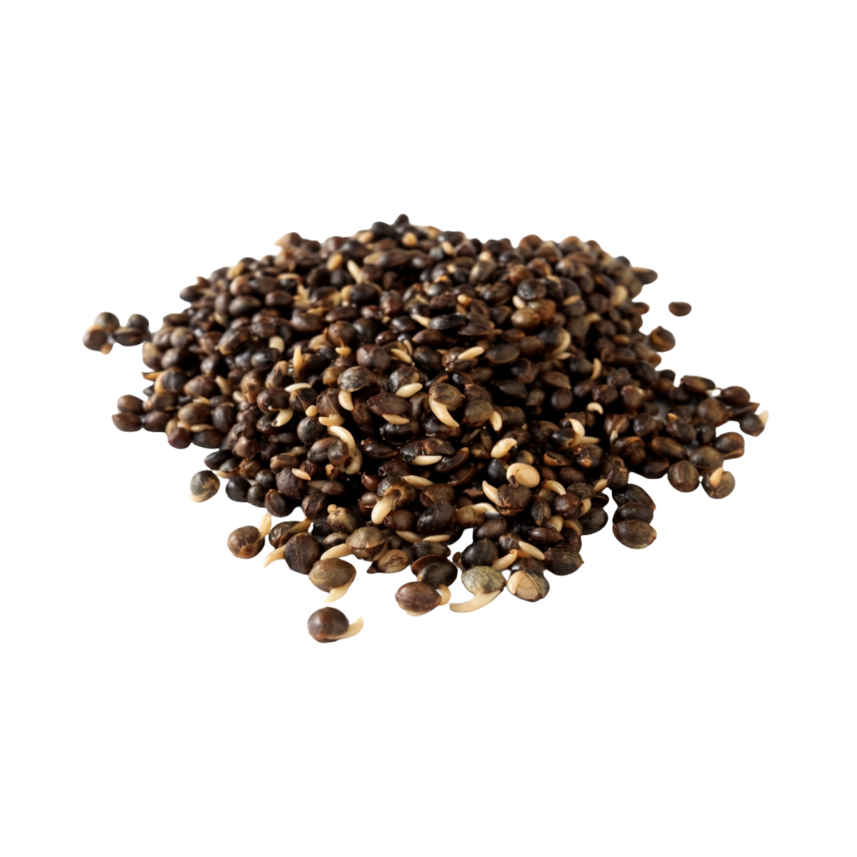 KONOPIE GOTOWE 1KG